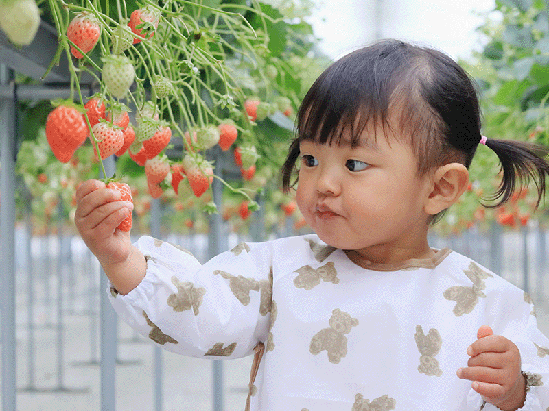 こどもの口腔環境