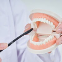 ブラッシング指導